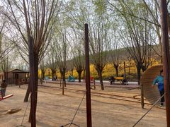 -西部长青自然儿童乐园