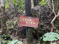 -七仙岭温泉国家森林公园
