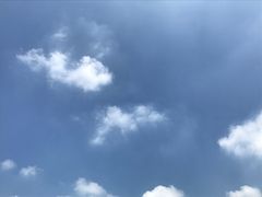 -Monkey Music小猴子现代音乐