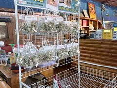 -蓝湾碧波·老字号·疍家非遗海上餐厅