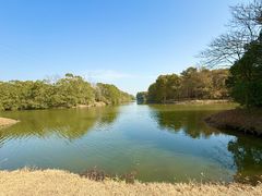 -上海海湾国家森林公园