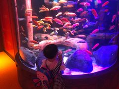 -沈阳海洋探索中心