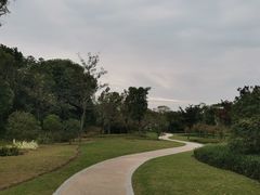 -昆山城市生态森林公园