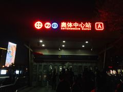 -奥体中心(地铁站)