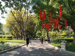 -东风公园