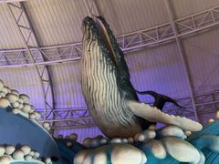 -烟台海昌鲸鲨海洋公园