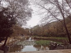 -高尔山公园