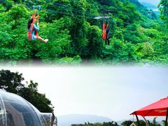 -南丹山森林王国