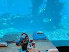 -海棠湾洲际-涛·海底餐厅·美人鱼·自助餐·海底隧道