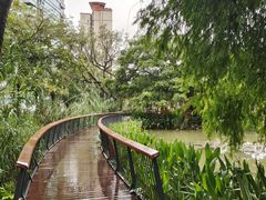 -四海公园(南山区)