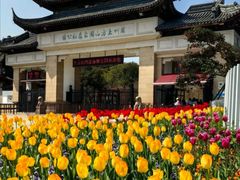 -苏州上方山国家森林公园