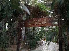 -龙达温泉生态城