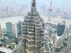 -上海柏悦酒店·世纪100牛排馆