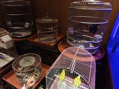 -老江南春·中国龙菜(衡山路店)