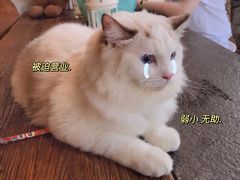 -MIMO CAFE(沙头角店)