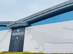 -中国西峡恐龙遗迹园
