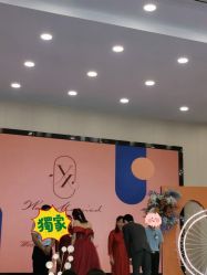 -豪门婚礼策划