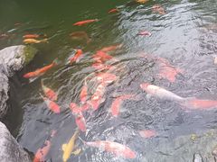 -青岛鑫江温德姆酒店