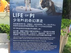 -白沙湾海滩