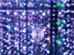 -梵高星空艺术馆(北京旗舰店)