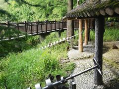 -东湖落雁景区