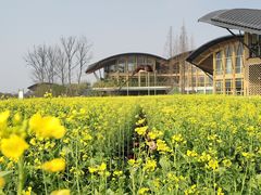 -中国天府农业博览园