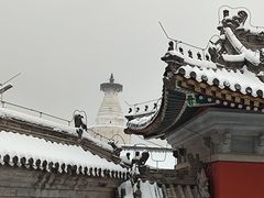 -华天二友居肉饼(宫门口店)