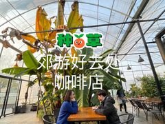 -MUSEO COFFEE咖啡博物馆
