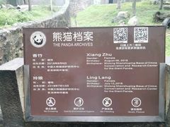 -都江堰中华大熊猫苑