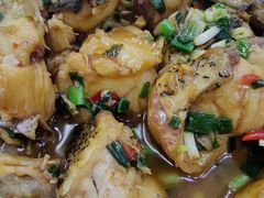 -全乐鱼馆·淳牌有机鱼直营店