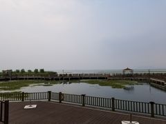 -新木器时代餐厅(太湖新天地店)