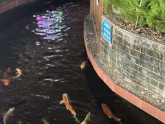 -侠成水上农庄(工业大道店)
