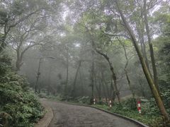 -广州市帽峰山景区