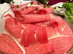 -九鼎轩脆毛肚火锅(三钢里店)