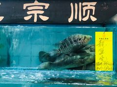 -有腥气私房菜·寻味顺德