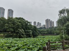 -龙头寺公园