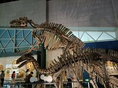 -湖南省地质博物馆