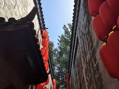 -树夏(锦里店)