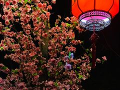 -鹅滋道(甘坑古镇店)