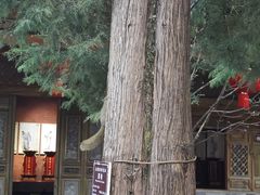 -大理文庙(大理古城)