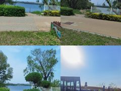 -长春市南湖公园