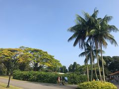 -新加坡总统府