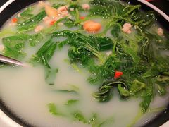 鸽汤桑叶-羽鸽集·乳鸽专门店·地道顺德菜(岭南站店)