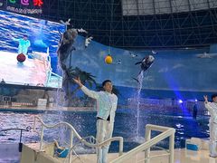 -泉城欧乐堡海洋极地世界