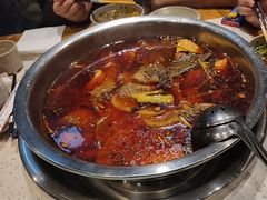 红汤锅-肖肖酸萝卜鱼火锅(总店)