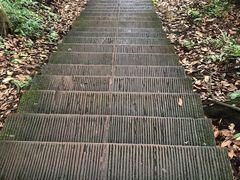 -凤栖山