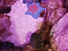 -沈阳海洋探索中心