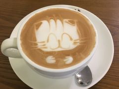 -猫色咖啡·猫咖