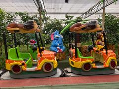 -南宫五洲植物乐园