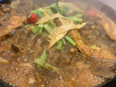 -老板恋上鱼(恒隆广场店)